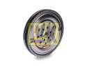 Dual mass flywheel