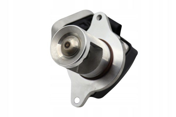 EGR valve AGR Borgwarner OE Wahler 7389D Mercedes 2 2 CDI Catalog number of the part 7389D