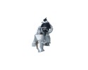 Radiator exhaust gas recirculation NRF 48403 Car type buses cargo vans passenger cars