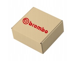 Brake disc BREMBO 09 D481 33