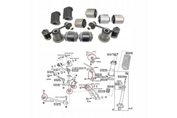 REAR ARM BUSHINGS LEXUS IS200 IS300 99 05 Catalog number of the part 4230451010