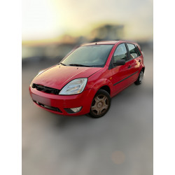 FORD FIESTA (CBK) Ambiente