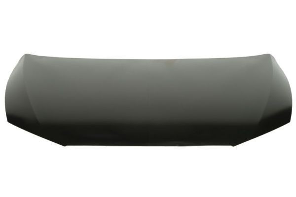 Engine cover galvanized with mastic SEAT LEON 5F 01 17 12 19