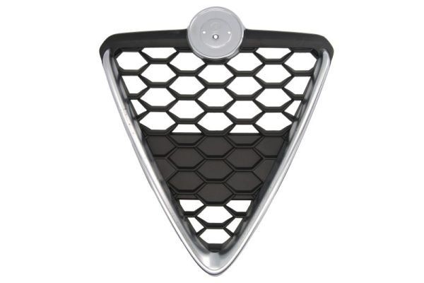 GRILLE GRILL 6502 07 0105999P BLIC