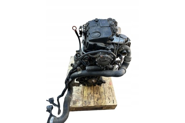 Engine Volkswagen Audi Skoda Seat 1 9 TDI BLS Catalog number of the part BLS