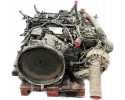 81005016098 MAN Engine Car type buses