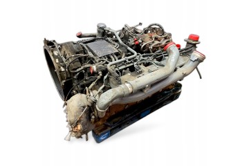 81007066377 MAN Engine