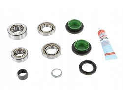 DIFFERENTIAL REPAIR KIT 462 0147 10 LUK BMW