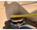 MERCEDES DIFFERENTIAL REAR BRIDGE 3 46 R1243512708 ABS 1243512708 Catalog number of the part R1243512708 3 46 ABS