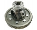Differential VW Caddy III 0AH409021M New Original