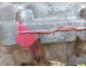 Caja de Cambios Automática 320109803R Sandero Stepway III 2021 1.0 TC