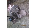 Fiat Stilo Abarth 2 4 20v Gearbox Transmission type automatic