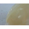 GN11-8A080-AA DEPOSITO EXPANSION FORD KA+ (CDU) GN11-8A080-AA DEPOSITO EXPANSION FORD KA+ (CDU)