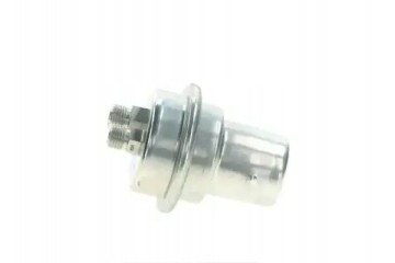 FUEL PRESSURE ACCUMULATOR 0 438 170 061 BOSCH
