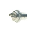 FUEL PRESSURE ACCUMULATOR 0 438 170 061 BOSCH Version European