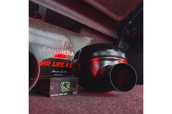 Original Panthera LEO 7 Active Sound Exhaust German High Quality Part manufacturer Panthera Automotive