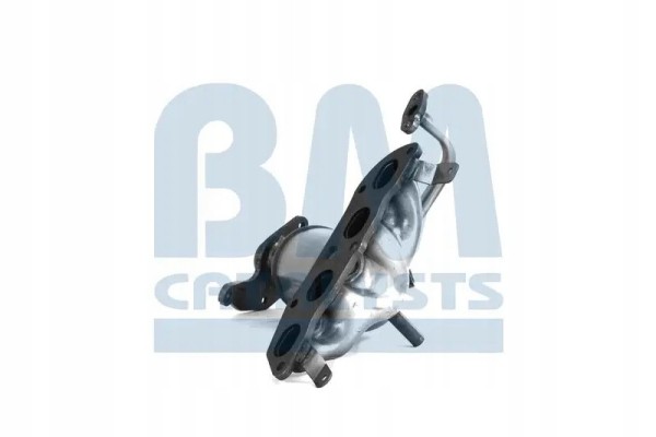 CATALYST BM91976H BM CATALYSTS Product weight 5 kg