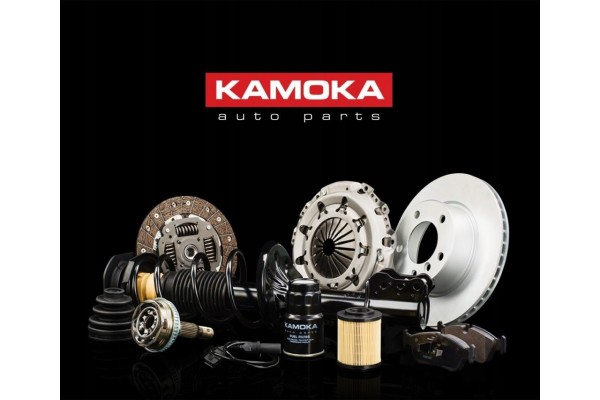 Kamoka 8010066 Filtro de partículas / filtro de hollín, sistema de e