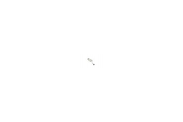 Walker 20489 Catalyst Part manufacturer Walker