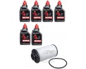 OIL CHANGE KIT IN DSG DQ250 6L FREEBIE