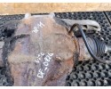 MERCEDES VITO W639 BRIDGE DYFER 38 11 9043530210 Part manufacturer Mercedes Benz OE