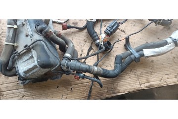 Calefactor estacionario Webasto gasolina 5,0 kW Ford MK5