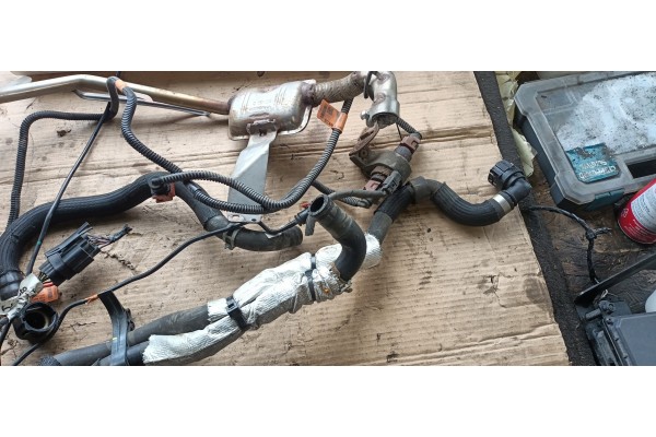 Calefactor estacionario Webasto gasolina 5,0 kW Ford MK5