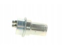 BOSCH 0 438 170 027 Pressure accumulator pressure Engine type gasoline