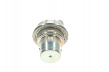 FUEL PRESSURE ACCUMULATOR 0 438 170 001 BOSCH