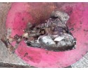 OPEL ZAFIRA A I 2 2 DTI Y22DTR 125KM GEARBOX 13104951 F35 Part manufacturer Opel OE