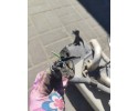 VW T5 WEBASTO 7H0819002R Part manufacturer Volkswagen OE