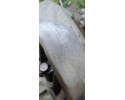 JUMPER 2 BOXER DUCATO 06 2 2 GEARBOX 20UM23 GRINDING 2 GEAR Catalog number of the part JUMPER 2 BOXER DUCATO 06 2 0 SKRZYNIA BIE