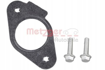 High pressure pump METZGER 2250499 Engine type gasoline