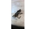 Calefactor estacionario Webasto Audi A6 C6 Gasolina 4F0265081K