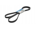 THERMO THERMO KING MULTI ROVED BELT 781831