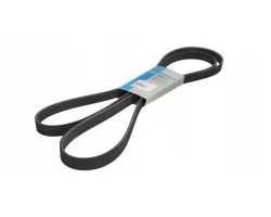 Correa Multi-Ranurada Thermo King
