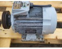 ELECTRIC MOTOR OF REFRIGERATOR THERMO KING 3 GENERATOR 2C19514G02