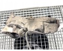 BRIDGE DYFER REAR VOLVO XC90 AND P30787700 2 4 185KM 02 15 SUV Engine type diesel