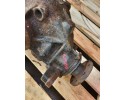 BMW E46 2 0 DIFFERENTIAL 1428170 3 45 Engine type gasoline