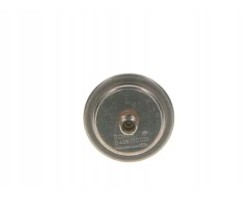 FUEL PRESSURE ACCUMULATOR 0 438 170 035 BOSCH