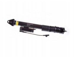 Rear air shock absorber DENCKERMANN DSA002G