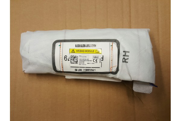 FORD FIESTA MK8 2017 2022 CUSHION SEAT AIRBAG RIGHT Catalog number of the part H1BB A611D10 AF