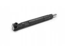 Delphi 28230891 Injector