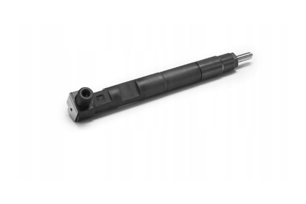 Delphi 28230891 Injector