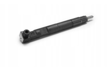 Delphi 28230891 Injector