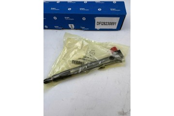 Delphi 28230891 Injector Car type passenger cars