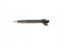 INJECTOR WITH SEALANT 0 445 116 073 BOSCH