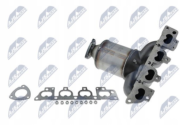 NTY KAT PL 001 Catalyst Catalog number of the part KAT PL 001