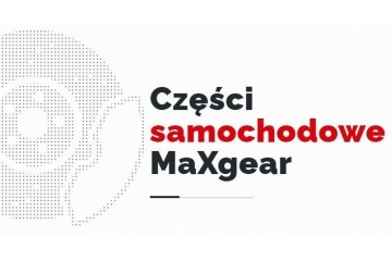 MAXGEAR PARTICULATE FILTER DPF TOYOTA AVENSIS VERSO 2 0D 2 2D 08 EURO5 Catalog number of substitutes ESEN SKV 62SKV507 KAMOKA 80