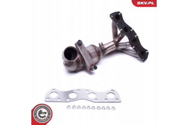 CATALYST SKV ESEN 62SKV003 Catalog number of the part 62SKV003